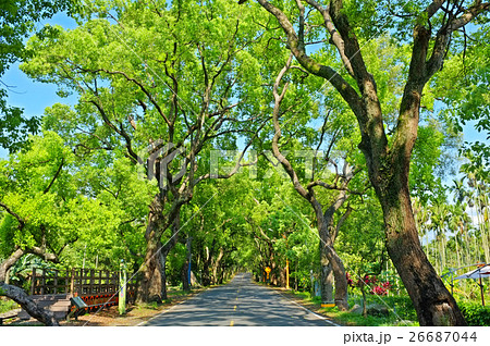 台湾 景色 風景 26687044