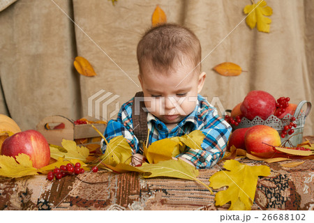 autumn little child boy lie on yellow fall leave autumn little child boy lie on yellow fall leave 26688102