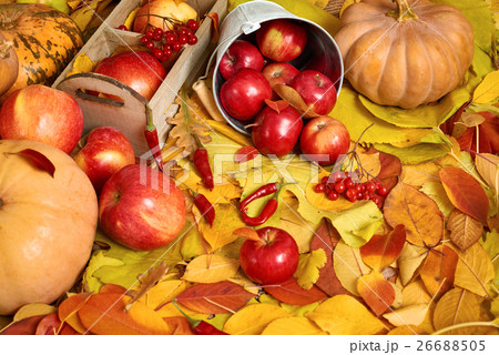 autumn background, fruits and vegetables on leaves autumn background, fruits and vegetables on leaves 26688505