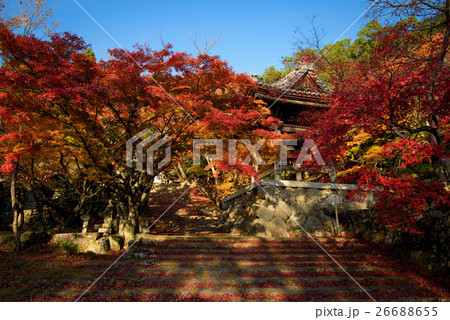 東光寺 東光寺 26688655