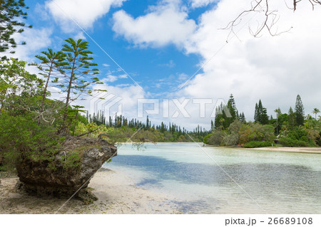 ニューカレドニア イルデパン島 ニューカレドニア イルデパン島 26689108
