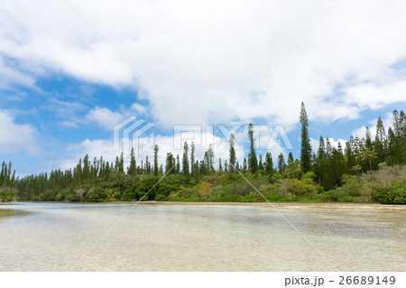 ニューカレドニア イルデパン島 26689149
