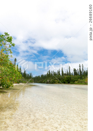 ニューカレドニア イルデパン島 26689160