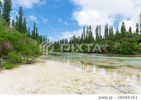 ニューカレドニア イルデパン島 26689161