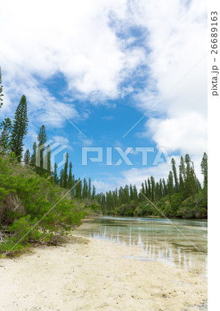 ニューカレドニア イルデパン島 26689163