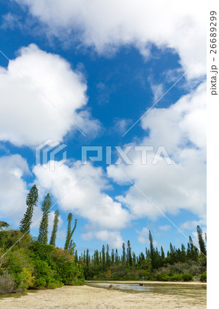 ニューカレドニア イルデパン島 26689299