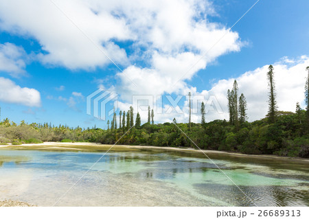 ニューカレドニア イルデパン島 26689313