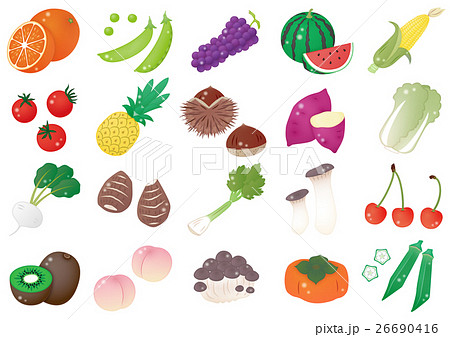 野菜と果物 オレンジ他 ハイライトありのイラスト素材