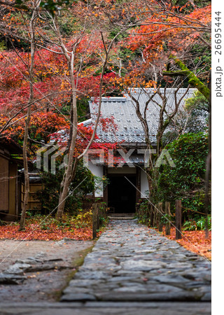 秋の京都　蓮華寺　参道 26695444