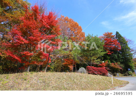 青空と紅葉（熊本県小国町） 26695595