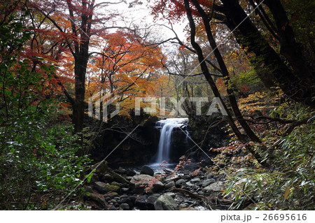 マゼノ渓谷の紅葉（熊本県小国町） 26695616