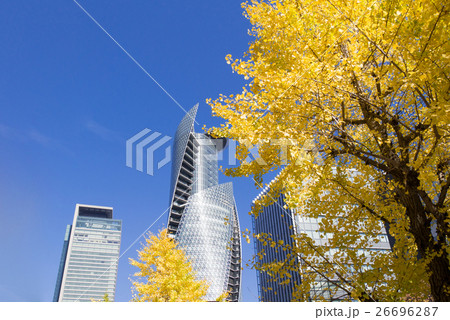 名古屋都市風景　名古屋駅前　名駅通のいちょう並木とスパイラルタワー 26696287