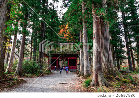 戸隠神社 奥社参道 26697930