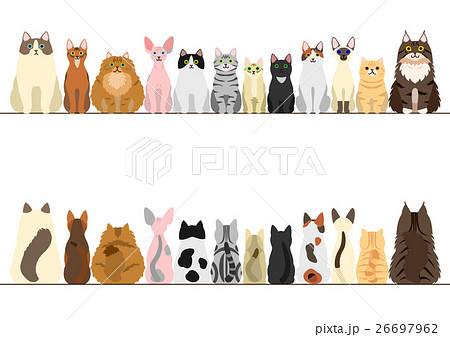 猫のボーダーのセット 正面と後ろ姿のイラスト素材 26697962 Pixta