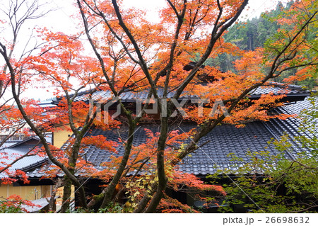 黒川温泉の紅葉（熊本県南小国町） 26698632