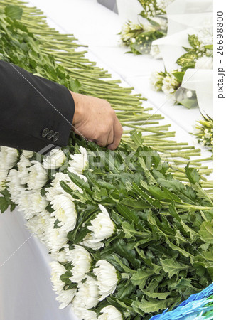 追悼式で献花する手元 追悼式で献花する手元 26698800
