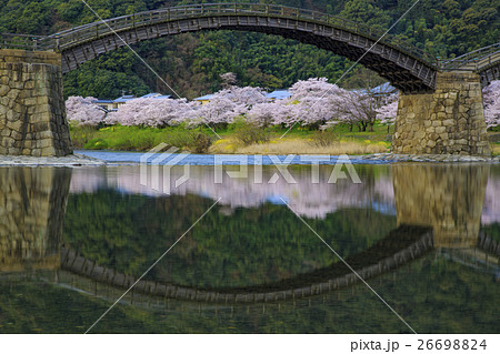 春の錦帯橋 26698824