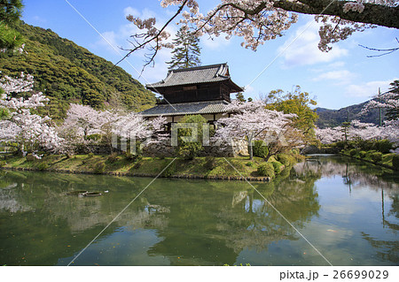 春の吉香公園 26699029
