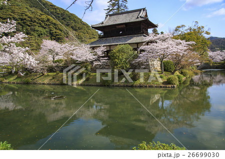 春の吉香公園 春の吉香公園 26699030