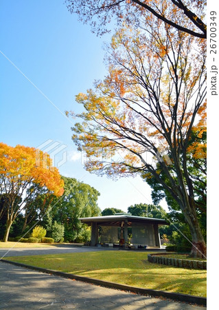 千鳥ヶ淵戦没者墓苑 26700349