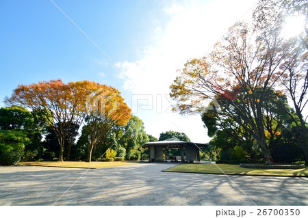 千鳥ヶ淵戦没者墓苑 26700350