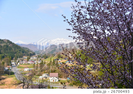 春の風景 26700493