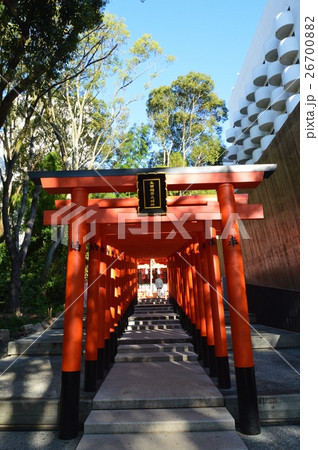 稲荷神社の赤い鳥居 生田神社 境内 兵庫県神戸市中央区 の写真素材