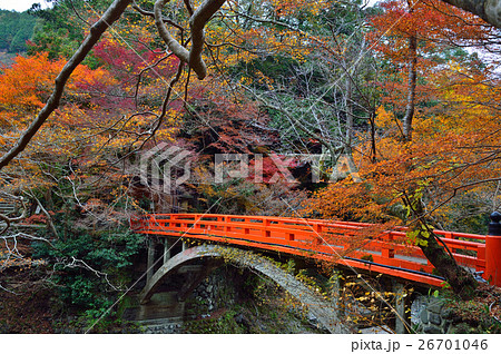 京都　西明寺の紅葉 26701046
