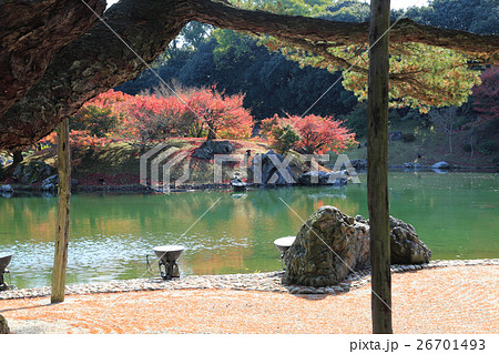 特別名勝「栗林公園」晩秋の南湖(根上り五葉松から紅葉の楓嶼を見る) 特別名勝「栗林公園」晩秋の南湖(根上り五葉松から紅葉の楓嶼を見る) 26701493