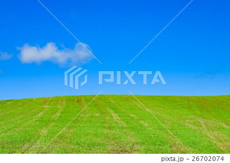 青空と丘 (1) 26702074