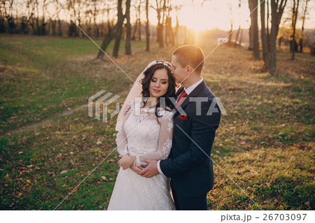 wonderful wedding day wonderful wedding day 26703097