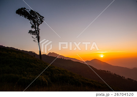 Sunset on the Hill 26704520