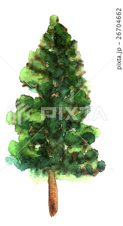 watercolor sketch of a tree on a white background 26704662