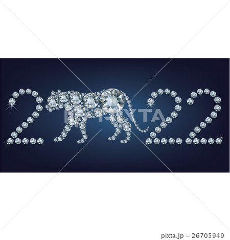 New year 2022 creative greeting card with Tiger 26705949