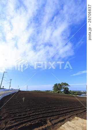 秋晴れの畑 秋晴れの畑 26706837