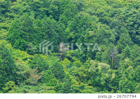 Aerial view of forest nature background. 26707794