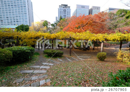 秋の日比谷公園 26707903