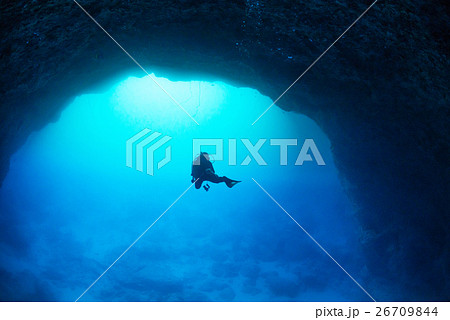 通り池 通り池 26709844