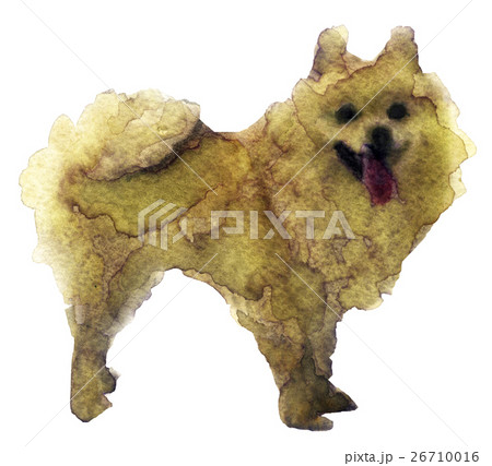 watercolor sketch of a dog on a white background watercolor sketch of a dog on a white background 26710016