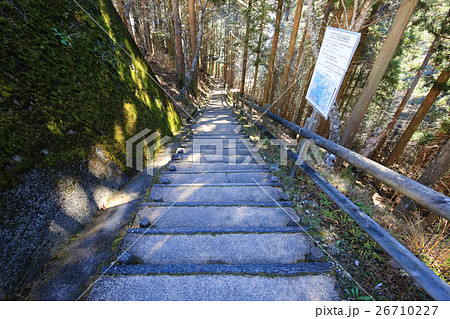 徳島県 奥祖谷二重かずら橋 遊歩道 徳島県 奥祖谷二重かずら橋 遊歩道 26710227