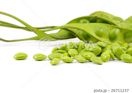 Parkia speciosa Parkia speciosa 26711237