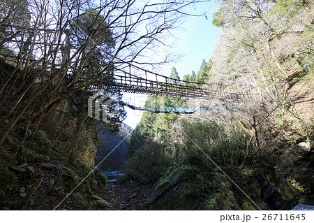 徳島県 奥祖谷二重かずら橋 架け替え工事中の男橋 徳島県 奥祖谷二重かずら橋 架け替え工事中の男橋 26711645