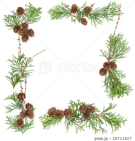 Floral frame Thuja branches cones Christmas backgr 26711927