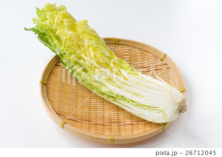 少量売り白菜 26712045