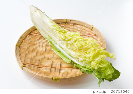 少量売り白菜 26712046