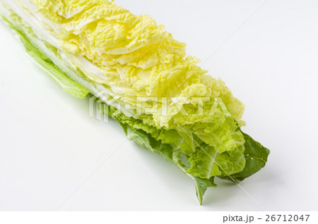 少量売り白菜 26712047