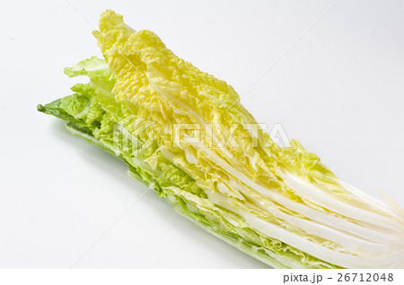 少量売り白菜 少量売り白菜 26712048