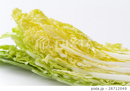 少量売り白菜 26712049
