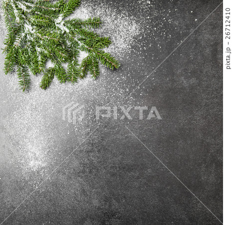 Chrismas tree branches snow dark backgrond  26712410
