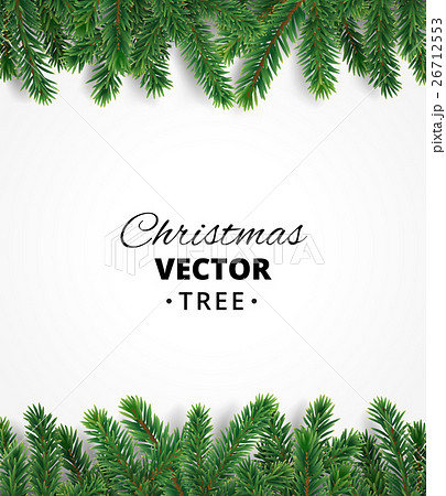 Background with vector christmas tree branches and 26712553